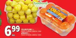 Metro YELLOW PLUMS | APRICOTS offer