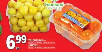 Metro YELLOW PLUMS | APRICOTS offer
