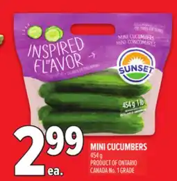 Metro MINI CUCUMBERS offer