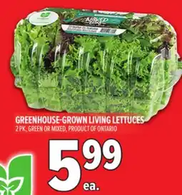 Metro GREENHOUSE-GROWN LIVING LETTUCES offer