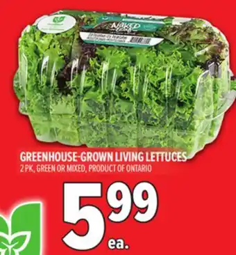 Metro GREENHOUSE-GROWN LIVING LETTUCES offer