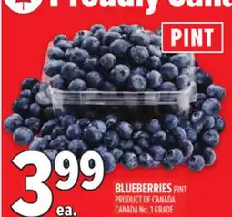 Metro BLUEBERRIES offer