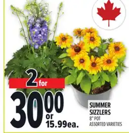 Metro SUMMER SIZZLERS offer