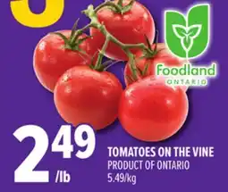 Metro TOMATOES ON THE VINE offer