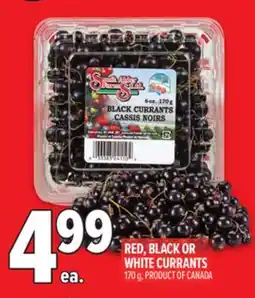 Metro RED, BLACK OR WHITE CURRANTS offer