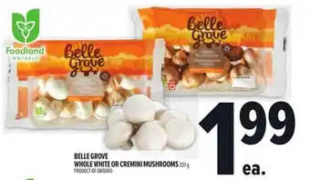 Metro BELLE GROVE WHOLE WHITE OR CREMINI MUSHROOMS offer