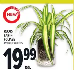 Metro NEW ROOTS EARTH FOLIAGE offer