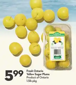 Longo's Fresh Ontario Yellow Sugar Plums offer