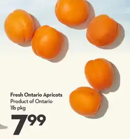 Longo's Fresh Ontario Apricots offer