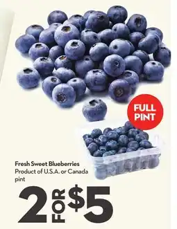 Longo's Fresh Sweet Blueberries offer