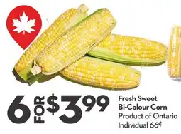 Longo's Fresh Sweet Bi-Colour Corn offer