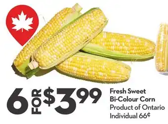 Longo's Fresh Sweet Bi-Colour Corn offer