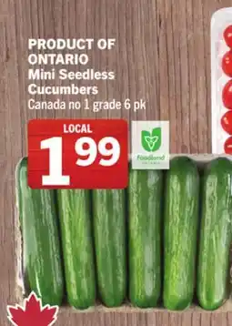 Foodland Mini Seedless Cucumbers offer