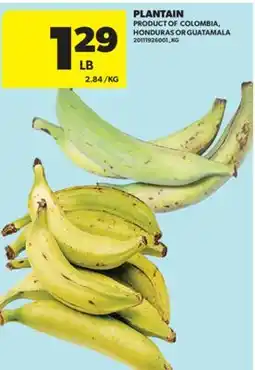 Real Canadian Superstore PLANTAIN offer
