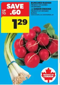 Real Canadian Superstore BUNCHED RADISH, GREEN ONIONS offer