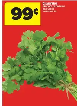 Real Canadian Superstore CILANTRO offer