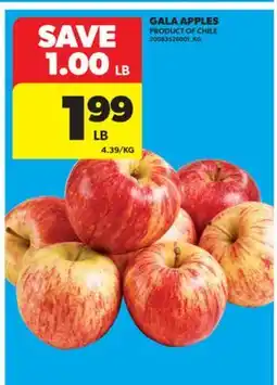 Real Canadian Superstore GALA APPLES offer