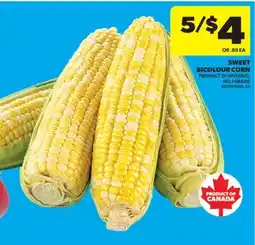 Real Canadian Superstore SWEET BICOLOUR CORN offer