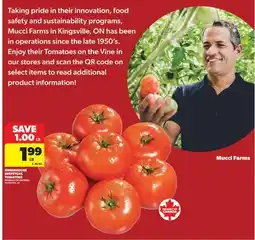 Real Canadian Superstore GREENHOUSE BEEFSTEAK TOMATOES offer
