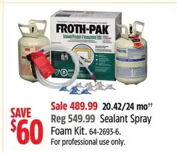 Canadian Tire Sealant Spray Foam Kit offer
