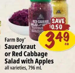 Farm Boy Farm Boy Sauerkraut or Red Cabbage Salad with Apples offer