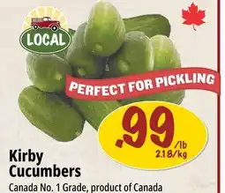 Farm Boy Kirby Cucumbers offer