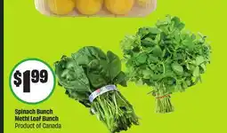 Chalo FreshCo Spinach Bunch Methi Leaf Bunch Product of Canada offer