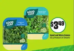 Chalo FreshCo Good Leaf Micro Greens 50 g Product of Ontario offer