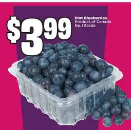 Chalo FreshCo Pint Blueberries Product of Canada No. 1 Grade offer