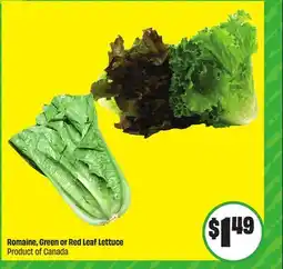 Chalo FreshCo Romaine, Green or Red Leaf Lettuce Product of Canada offer