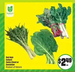 FreshCo Red Kale Collard Swiss Chard or Dandelion Product of Ontario offer