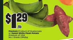 FreshCo plantain Product of Guatemala or Sweet White Flesh Potato Product of USA No.1 Grade 2.84/kg offer