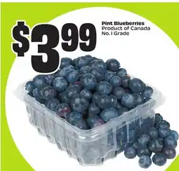 FreshCo Pint Blueberries Product of Canada No. I Grade offer