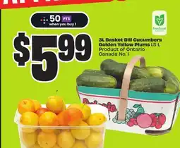 FreshCo 3 L Basket Dill Cucumbers Golden Yellow Plums 1.5 L Product of Ontario Canada No. 1 offer