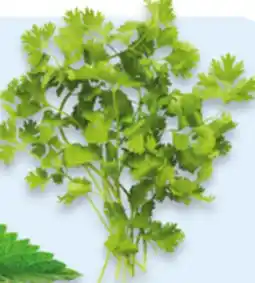 Walmart Cilantro offer