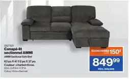Patrick Morin AMMI Sectional Sofa Bed offer