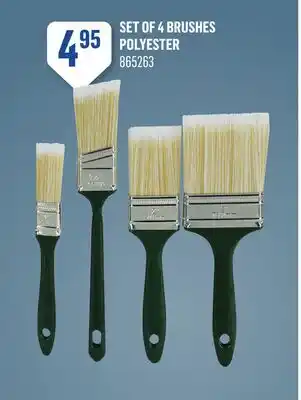 Canac Set of 4 Brushes Polyester offer