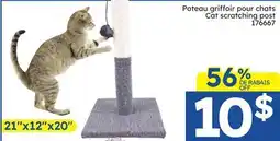Rossy Cat scratching post offer