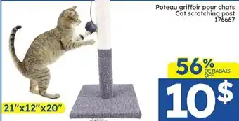 Rossy Cat scratching post offer