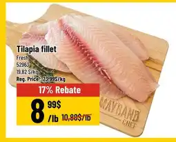 Mayrand Tilapia fillet offer