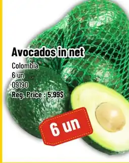 Mayrand Avocado 14/6 offer