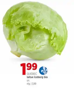 Avril laitue Iceberg bio offer
