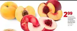 Avril pêches jaunes, nectarines DU nectarines blanches bios offer