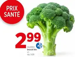 Avril Brocoli bio offer