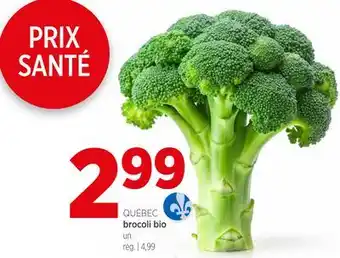 Avril Brocoli bio offer