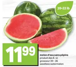 L'Intermarché MELON D'EAU SANS PÉPINS, grosseur 30 - 36 offer