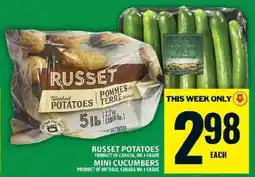 Food Basics Russet Potatoes & Mini Cucumbers offer