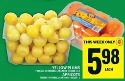 Food Basics Yellow Plums / Apricots offer