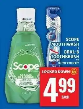 Food Basics Scope Mouthwash / Oral-B Toothbrush offer
