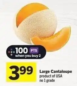 IGA Large cantaloupe offer